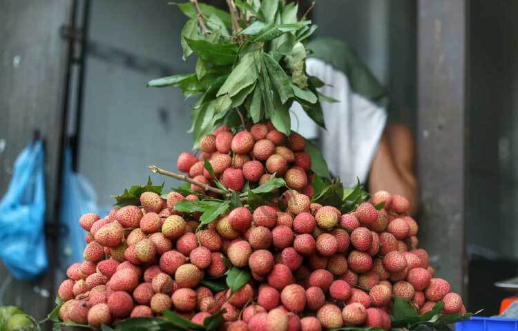 লিচুতে ভরপুর বাজার