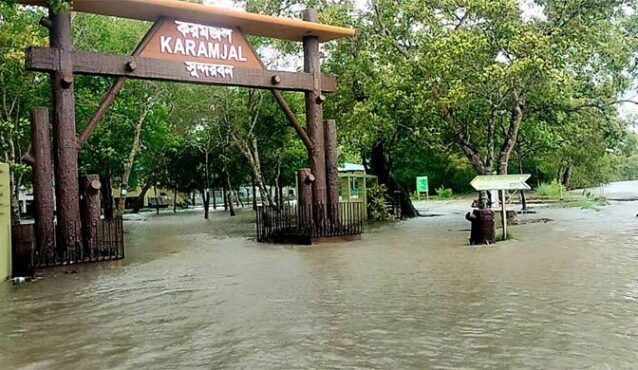 জলোচ্ছ্বাসে তলিয়ে গেছে সুন্দরবন