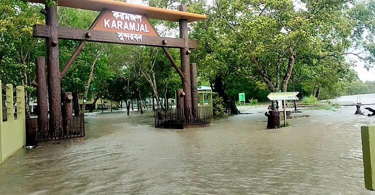 জলোচ্ছ্বাসে তলিয়ে গেছে সুন্দরবন