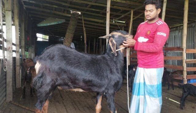 শখের বশে ছাগল পালন করেন লাখপতি তানভীর