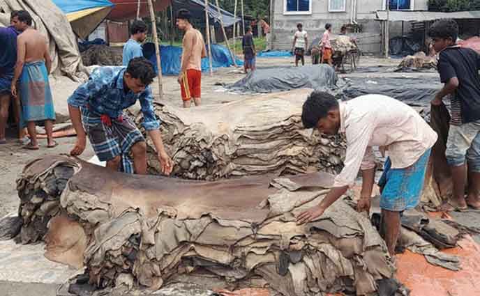 চামড়ার দাম এবার কিছুটা বেড়েছে