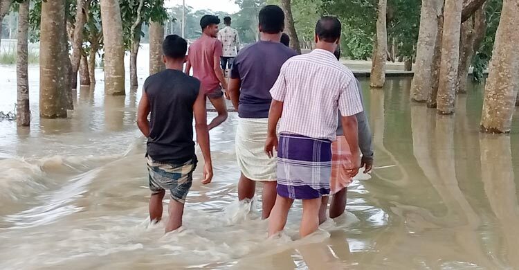 পাহাড়ি ঢলে ছাতকের নিম্নাঞ্চল প্লাবিত, ভোগান্তিতে ৫ গ্রামের মানুষ