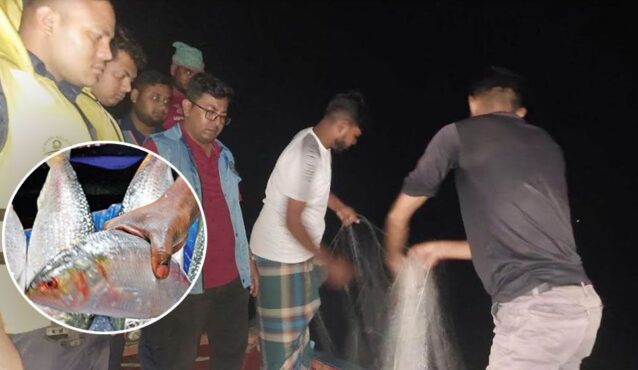 মা ইলিশ রক্ষায় রাতভর অভিযান: পদ্মা থেকে আটক ৫