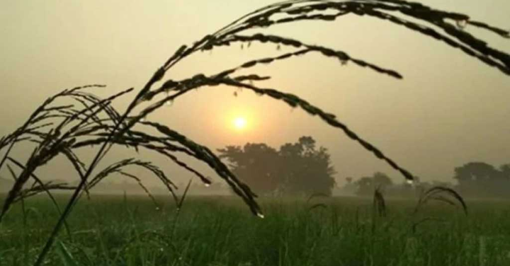 তাপমাত্রা নিয়ে আবহাওয়ার নতুন বার্তা
