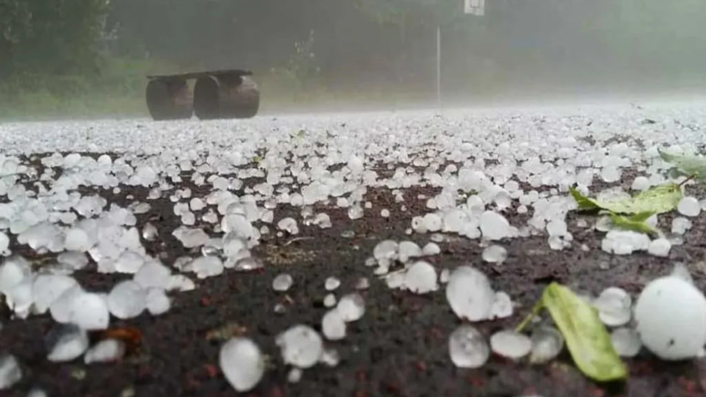 আসছে বজ্রবৃষ্টি, পড়তে পারে শিলা