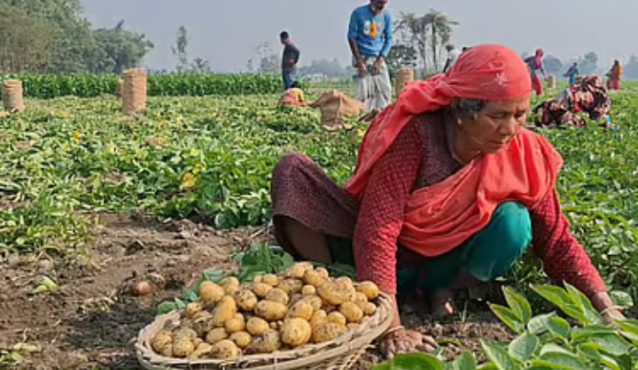 কৃষিপণ্যের সর্বনিম্ন দাম কবে ঠিক হবে