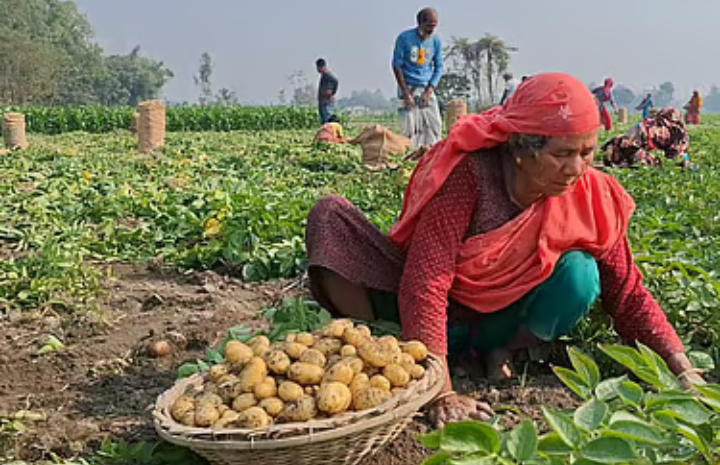 কৃষিপণ্যের সর্বনিম্ন দাম কবে ঠিক হবে