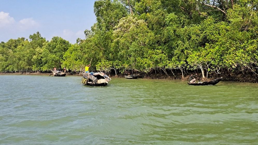 ফের সক্রিয় সুন্দরবনের দস্যু বাহিনী, নিয়ন্ত্রণ এখন দয়ালবাবার হাতে