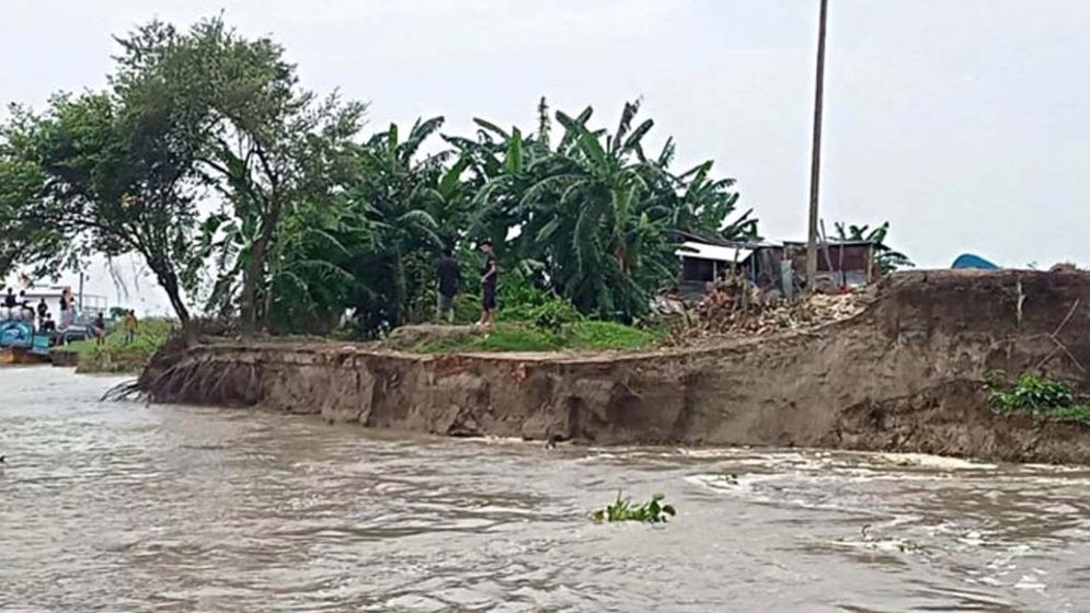 ফরিদপুরে ভাঙন আতঙ্কে পদ্মা পাড়ের মানুষ