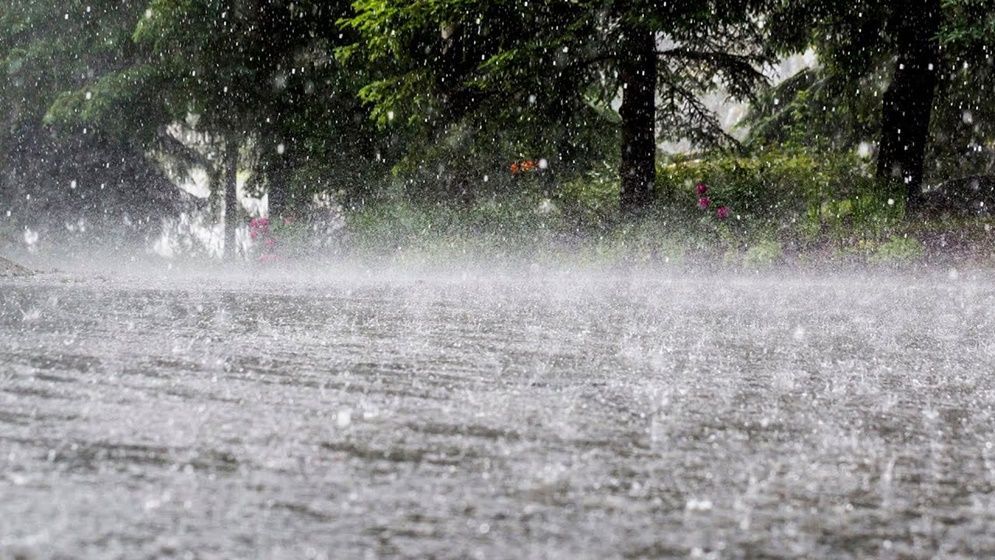 আসছে বৃষ্টিবলয় ‘স্পিড’, নতুন বার্তা বিডব্লিউওটিয়ের