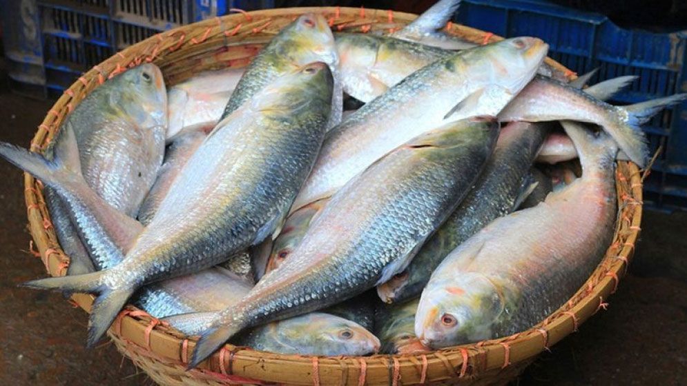দুধের স্বাদ ঘোলে মেটাচ্ছেন ভারতীয়রা!