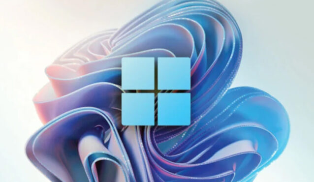 উইন্ডোজ ১১-তে সমস্যার উদ্ভব