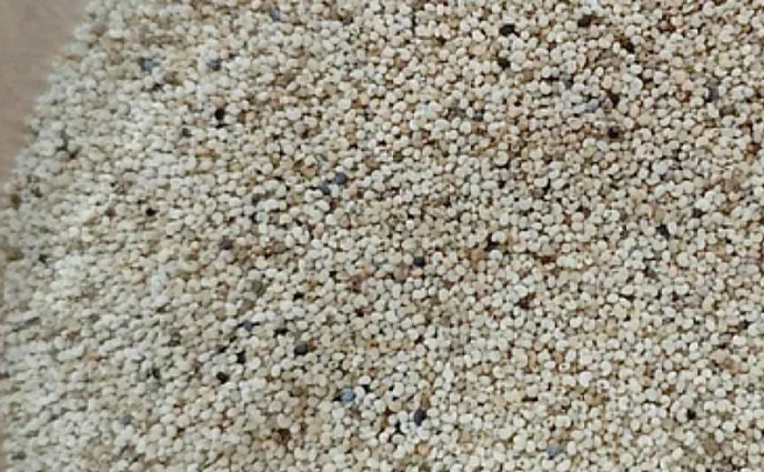 চার কৌশলে নিষিদ্ধ পপি চোরাচালান