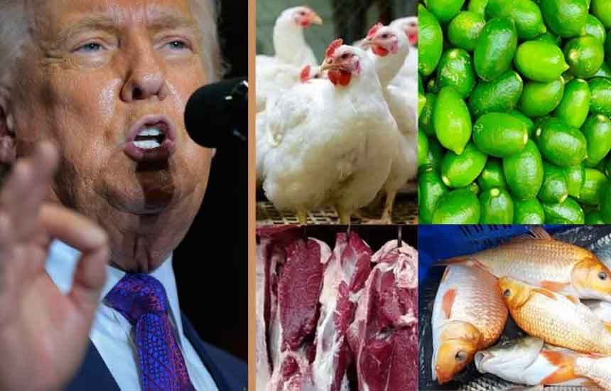 বাংলাদেশি কৃষকের কল্যাণের কথা বললেন ট্রাম্প, চুক্তি কী বলছে