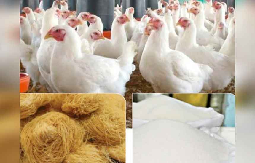 মুরগির দাম বেশি, ভিড় সেমাই-চিনির দোকানে