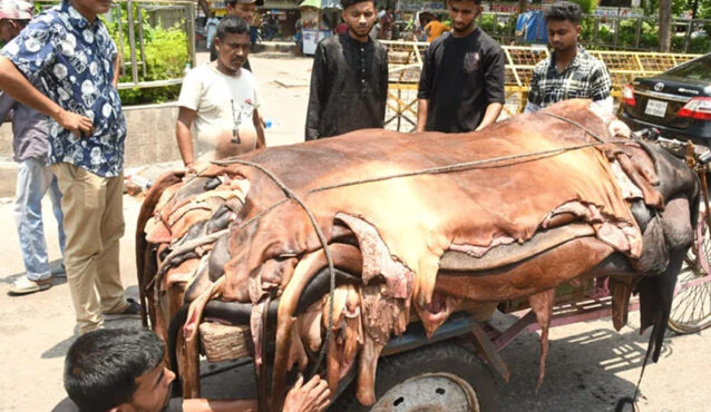 চামড়ার বাজারে মন্দাভাব, সংগ্রহের লক্ষ্যমাত্রা কমিয়েছেন ব্যবসায়ীরা