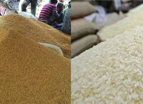 বন্যার কারণে ১২ দিন আগেই ধান-চাল সংগ্রহ শুরু করছে সরকার