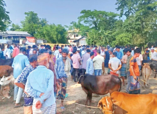 চোরাকারবারিরা সক্রিয়, খামারিরা চাপে
