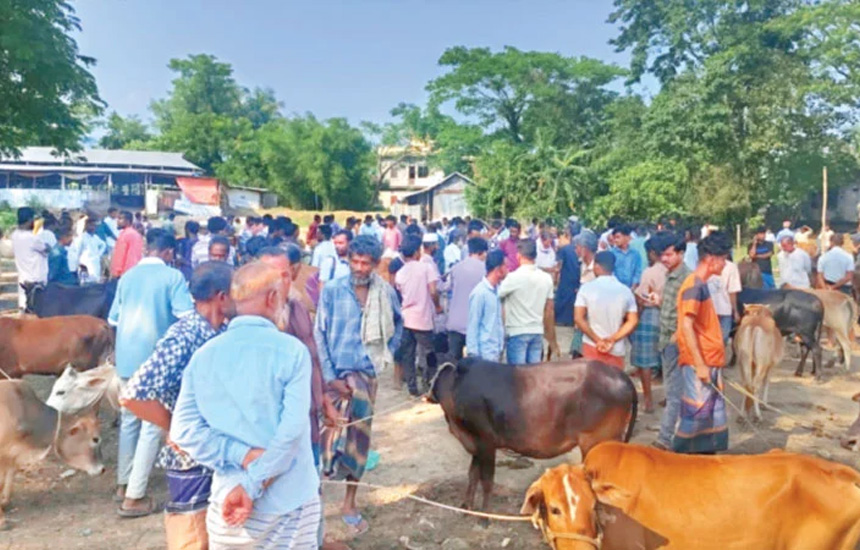 চোরাকারবারিরা সক্রিয়, খামারিরা চাপে