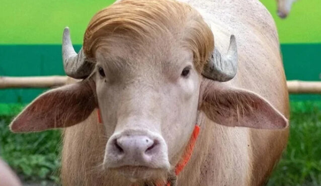 ‘ডোনাল্ড ট্রাম্প’ নামের বানান ভুল, চিড়িয়াখানার কিউরেটর বরখাস্ত