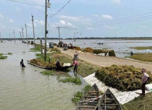 হাওরাঞ্চলে বন্যা পরিস্থিতির উন্নতি