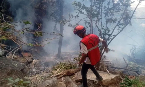 কেনিয়ায় হেলিকপ্টার বিধ্বস্ত, ৫ মার্কিন নাগরিকসহ ইকুয়েডরের গোয়েন্দা প্রধান নিহত