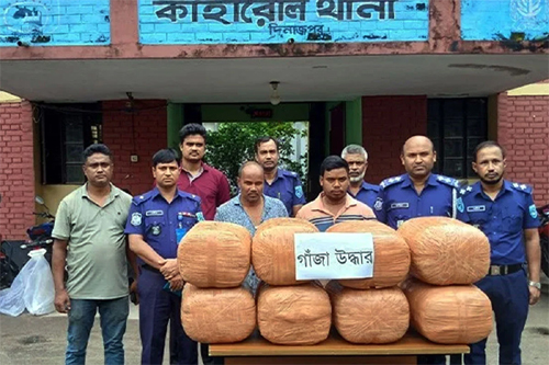দিনাজপুরে ৮৮ কেজি গাঁজাসহ আটক ২, জব্দ পিকআপ