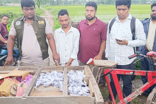 লালমনিরহাটে ডিবির অভিযানে ৪৭ বোতল ফেন্সিডিল উদ্ধার, আটক ১