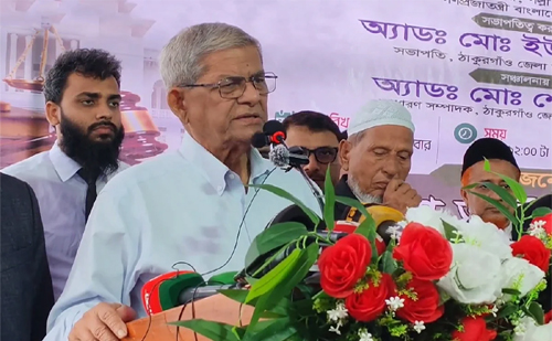 ফ্যাসিস্ট ব্যবস্থা থেকে বেরিয়ে এসেছি, এখন গণতন্ত্র সুদৃঢ় করার সময়: মির্জা ফখরুল