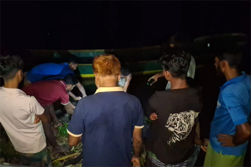 বাউফলে ঘাস খেয়ে বিষক্রিয়ায় ৩০ মহিষ অসুস্থ, মৃত্যু ৩টির