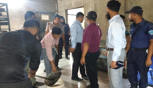 মিষ্টির সিরায় মরা পোকা, অস্বাস্থ্যকর পরিবেশে বেকারি পণ্য তৈরি; জরিমানা ১ লাখ